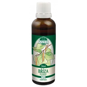 Naděje Tinktura z pupenů Bříza bělokorá 50ml